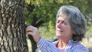 Investigadora premiada por su trabajo de medición de la calidad del aire